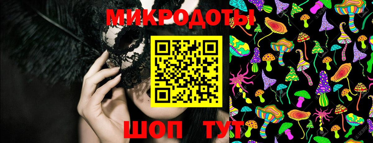 Псилоцибиновые грибы Cubensis Торжок