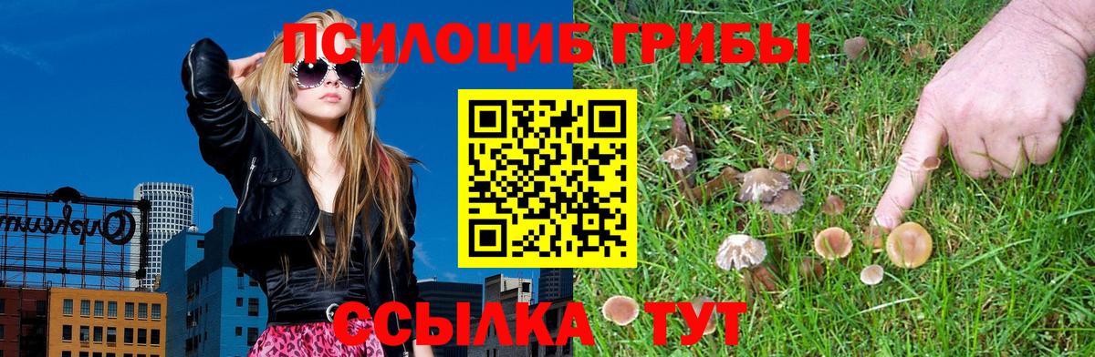 Торжок  Галлюциногенные грибы GOLDEN TEACHER  купить закладку  Вход с VPN 